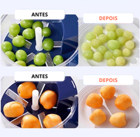 Máquina Elétrica de Descascar Frutas (Alho, Uva, Tomate e Outras Pequenas)